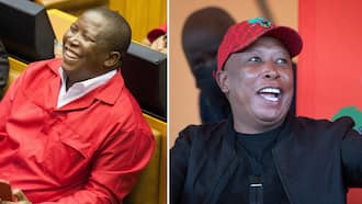 "Kiss the Boer": 4 Times EFF Leader Julius Malema went viral and had Mzansi talking for weeks