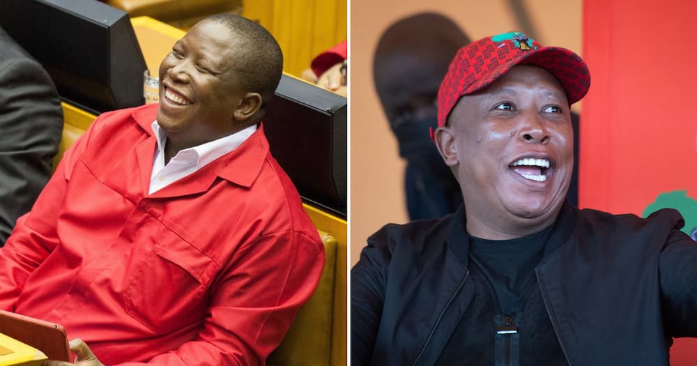 Economic Freedom Fighters, Julius Malema, viral moments