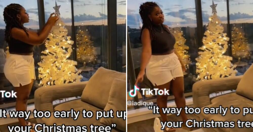 A young woman with a beautiful house is ready for Christmas and put up her tree