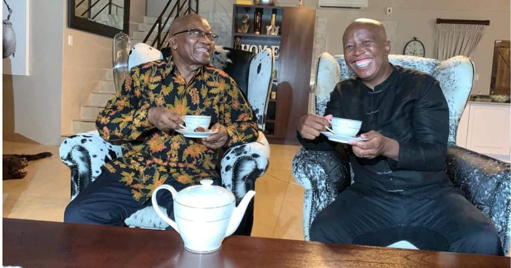 EFF shares pics of Malema and Zuma's "tea party" with Mzansi