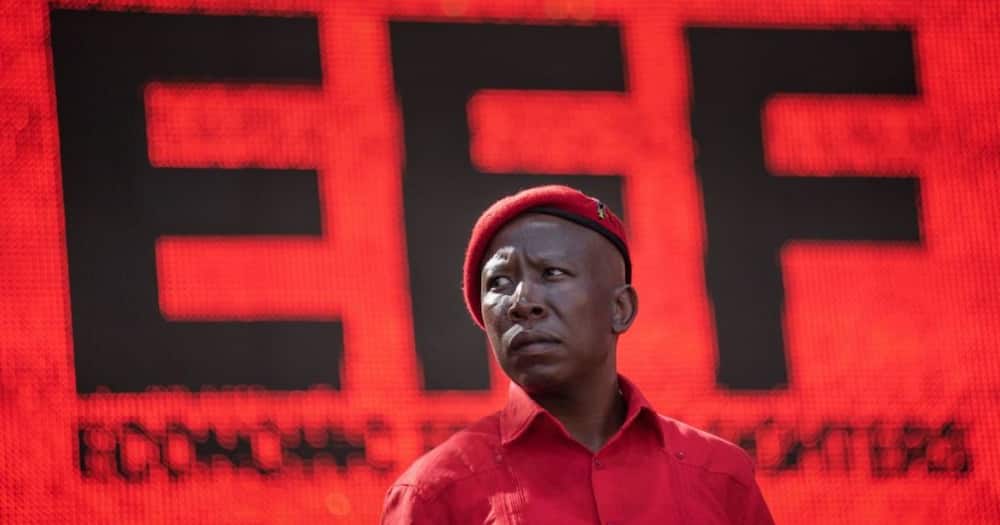 Economic Freedom Fighter Leader Julius Malema