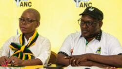David Makhura outlines the ANC's ambition for majority vote in 2024 elections