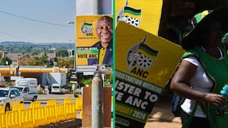 Free State woman investigated for allegedly tampering with ANC posters in Sasolburg
