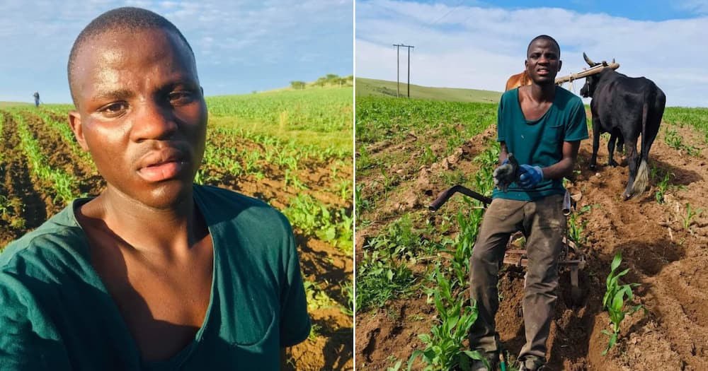 Farmer, social media, Mzansi, student, inspire