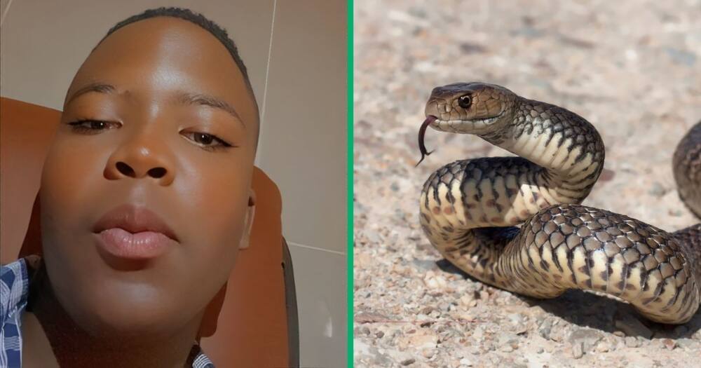 A TikTok video captured a man scaring a woman with a snake he found in his household.