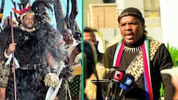 Misuzulu vs Ngizwe: The King of the Zulu nation reportedly warns Mchunu to leave the EFF alone
