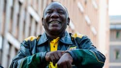 ANC in Gauteng supports Cyril Ramaphosa's second term bid