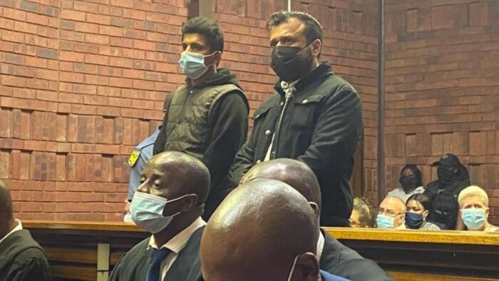 2 Granted bail in Estina Dairy Farm case, Gupta associates accused of fraud worth over R37 million