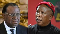 EFF plans to open criminal case against Namibian President Hage Geingob for allegedly covering up farm theft
