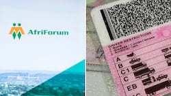 AfriForum says the 5-year validity period for driving licence is unconstitutional, Mzansi supports court case
