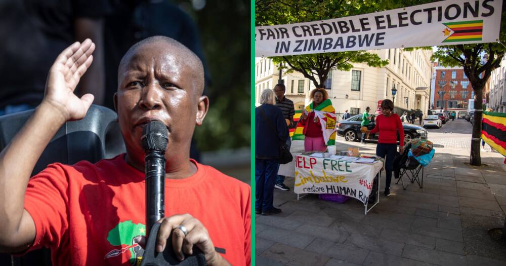 EFF leader Julius Malema said his party was willing to help Zimbabweans get home so they could participate in the elections