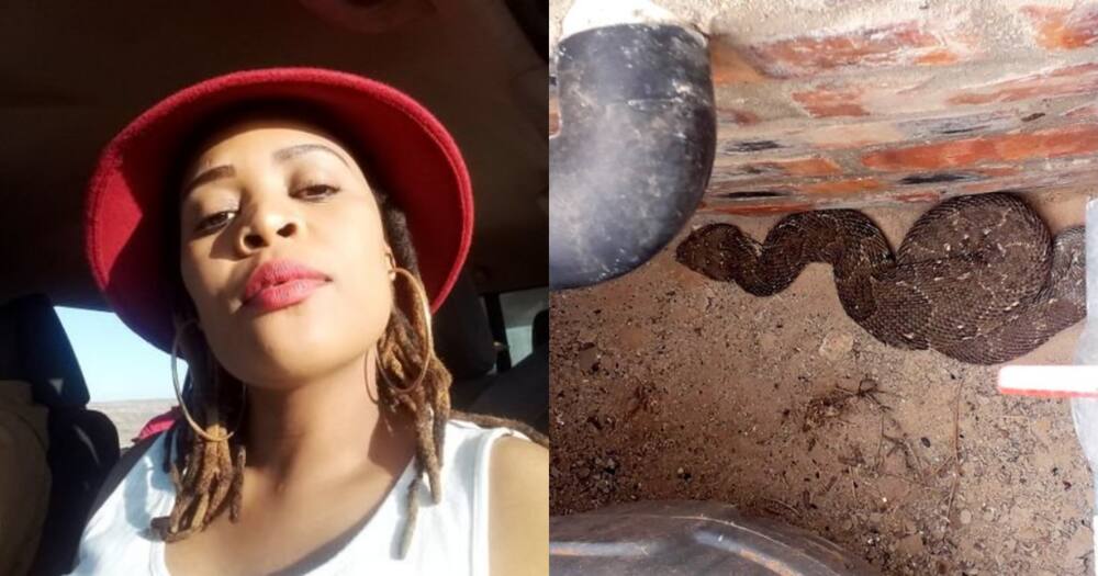 Lady Takes Snap of Large Snake in Her Home, SA Reacts: "I Would Faint"