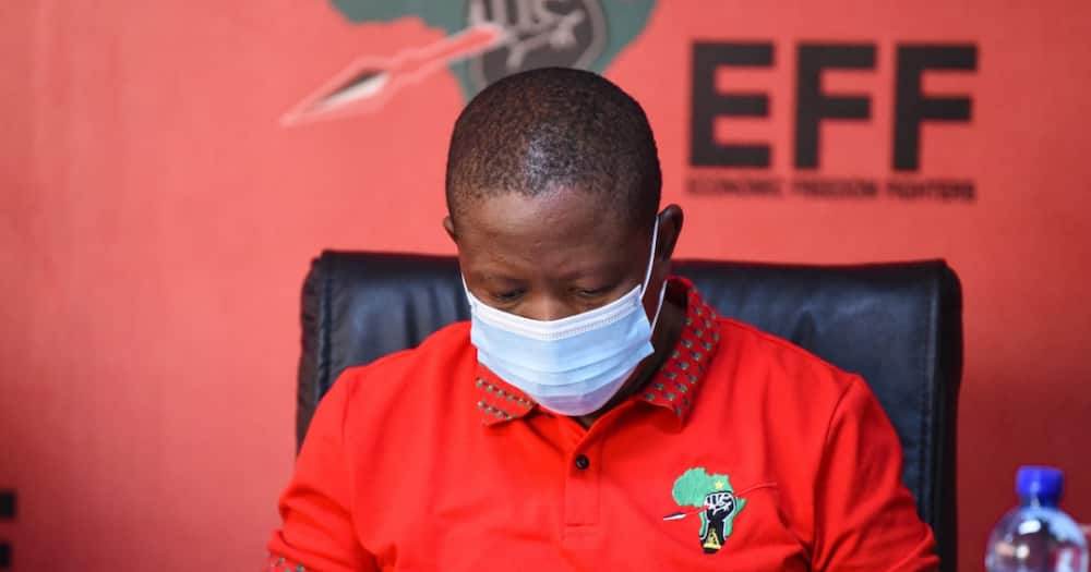 Julius Malema trends as Mzansi questions the EFF leader' silence around the vaccine