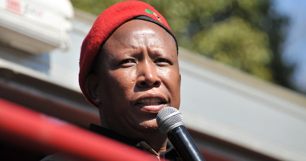 EFF, IEC, Code of Conduct pledge, Local government elections