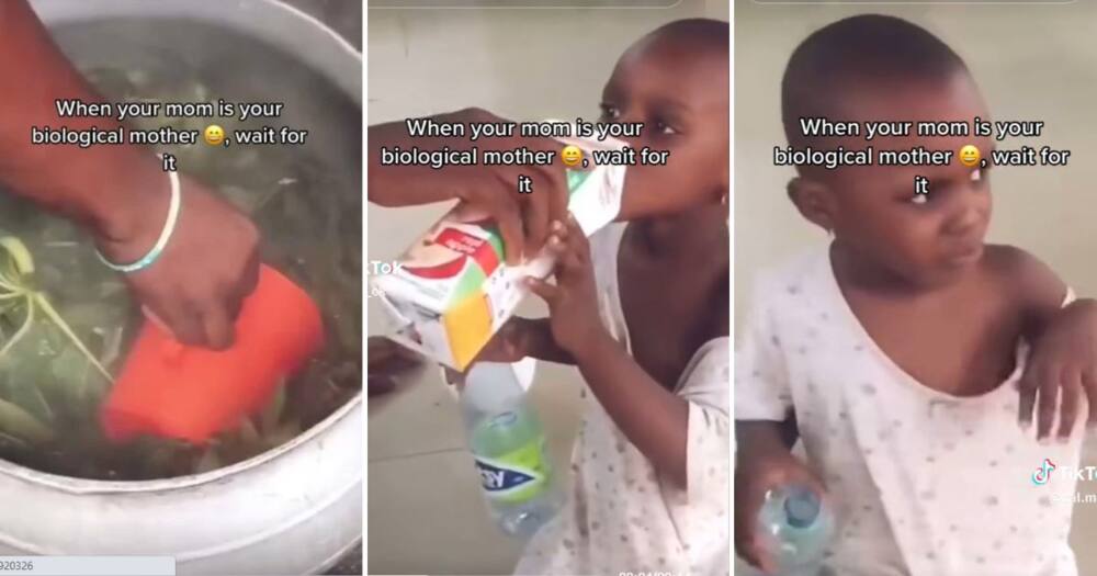 Mom gives sick child spinach water