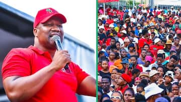 EFF KZN says they are confident ahead of elections