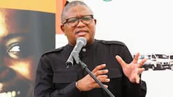 Transport minister Fikile Mbalula says electric cars not accepted in SA due to loadshedding