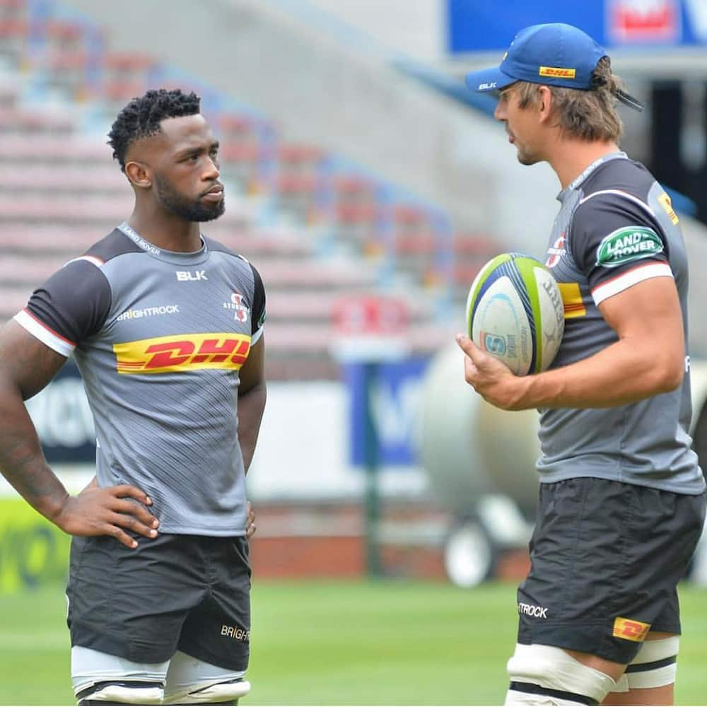 top-25-most-famous-south-african-rugby-players-of-all-time-briefly-co-za