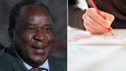 Tito Mboweni leaves South Africans laughing out loud after sharing sketched “beautiful portrait” online