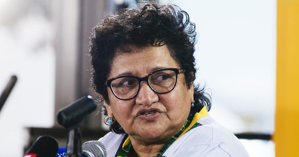 ANC's Jessie Duarte, local government elections, financial issues, ice, candidates