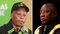 Herman Mashaba likens President Cyril Ramaphosa to "leader of opposition" in shady tweet about the presidents Women's Day address
