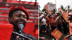EFF MP Mbuyiseni Ndlozi claims party shut businesses down peacefully as protestors descended on Pretoria