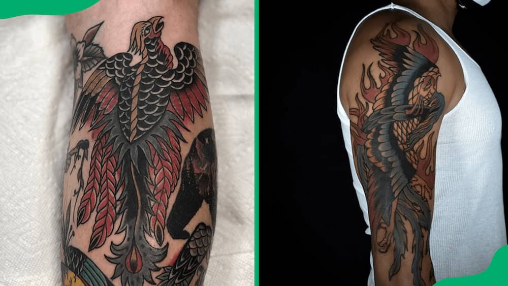 Traditional phoenix tattoos