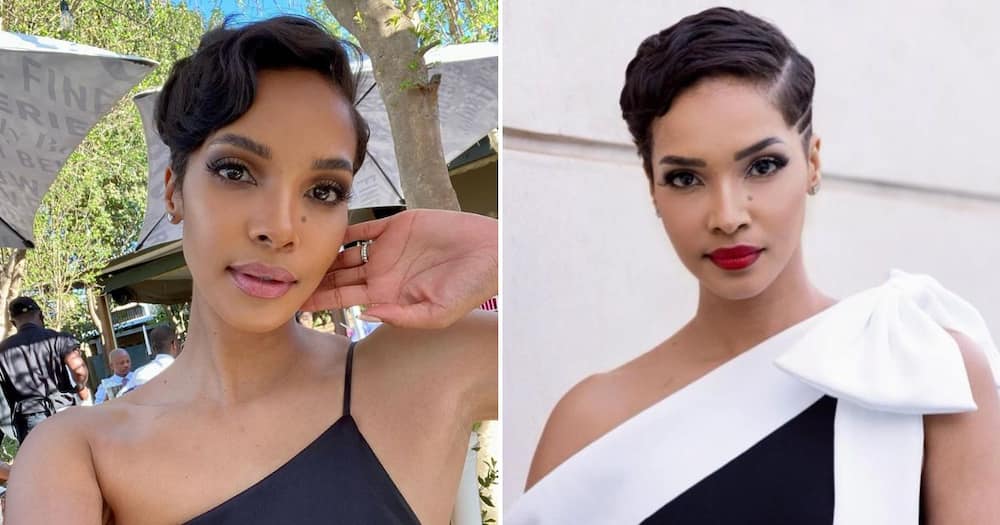 Liesl Laurie begged SA men to stop asking her out