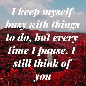 40 cute thinking of you quotes with images - Briefly.co.za