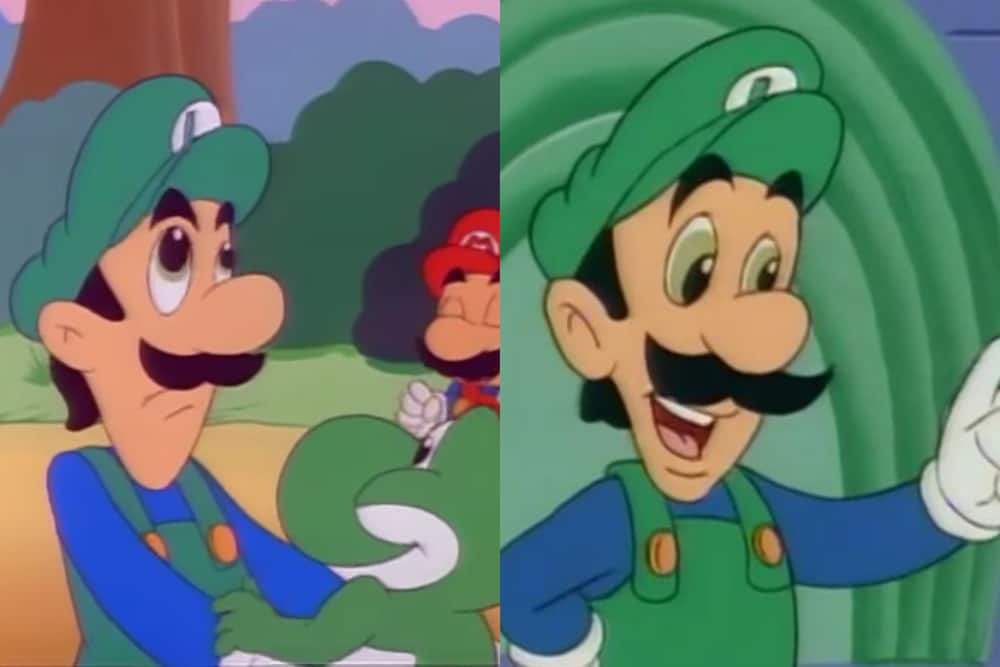 Luigi from Super Mario