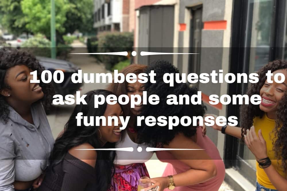 100 dumbest questions to ask people and some funny responses 