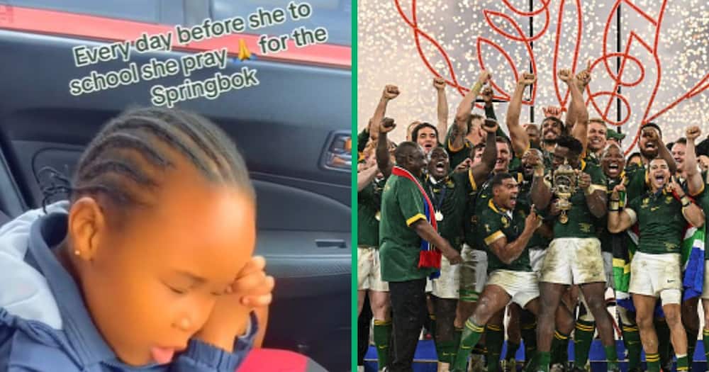 TikTok video shows kid praying for Springboks to win RWC 2023