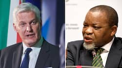 Energy Minister Gwede Mantashe shades Eskom CEO Andre de Ruyter, says he lacks skills to fix power utility
