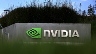 Nvidia quarterly profit soars on demand for AI chips