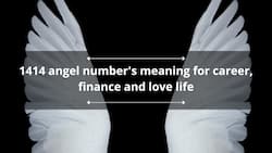 1414 angel number's meaning for career, finance and love life