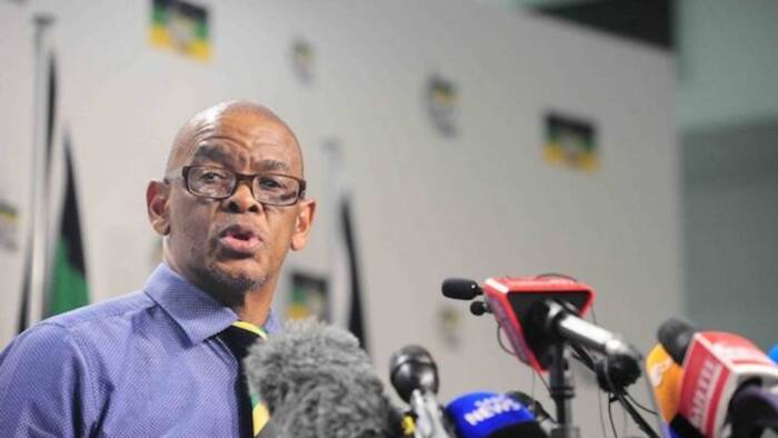 Ace Magashule warns of witch hunt ahead of ANC elective conference