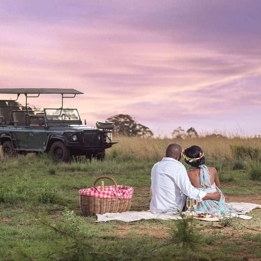 Top 15 picnic spots in Johannesburg