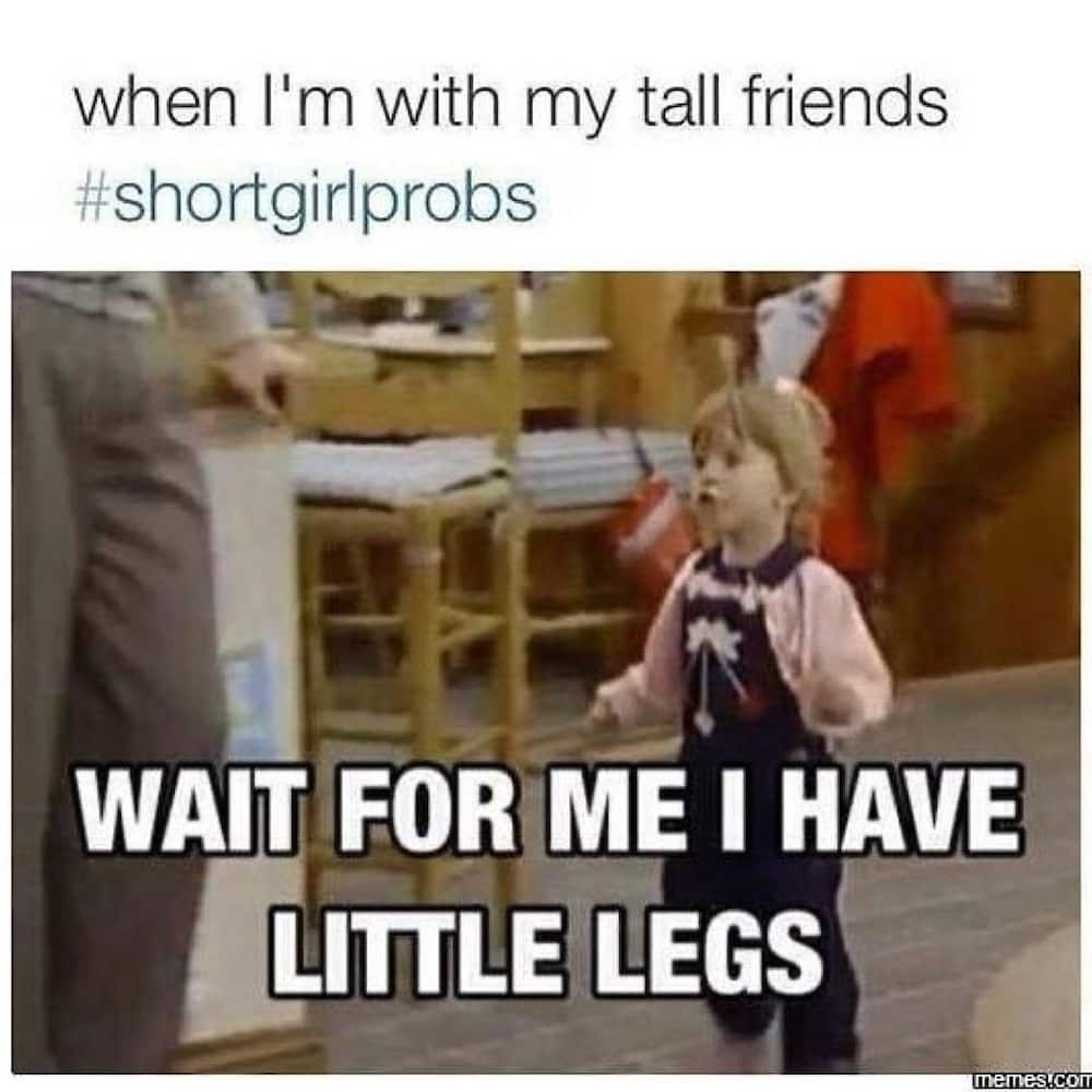 how to talk to short people meme