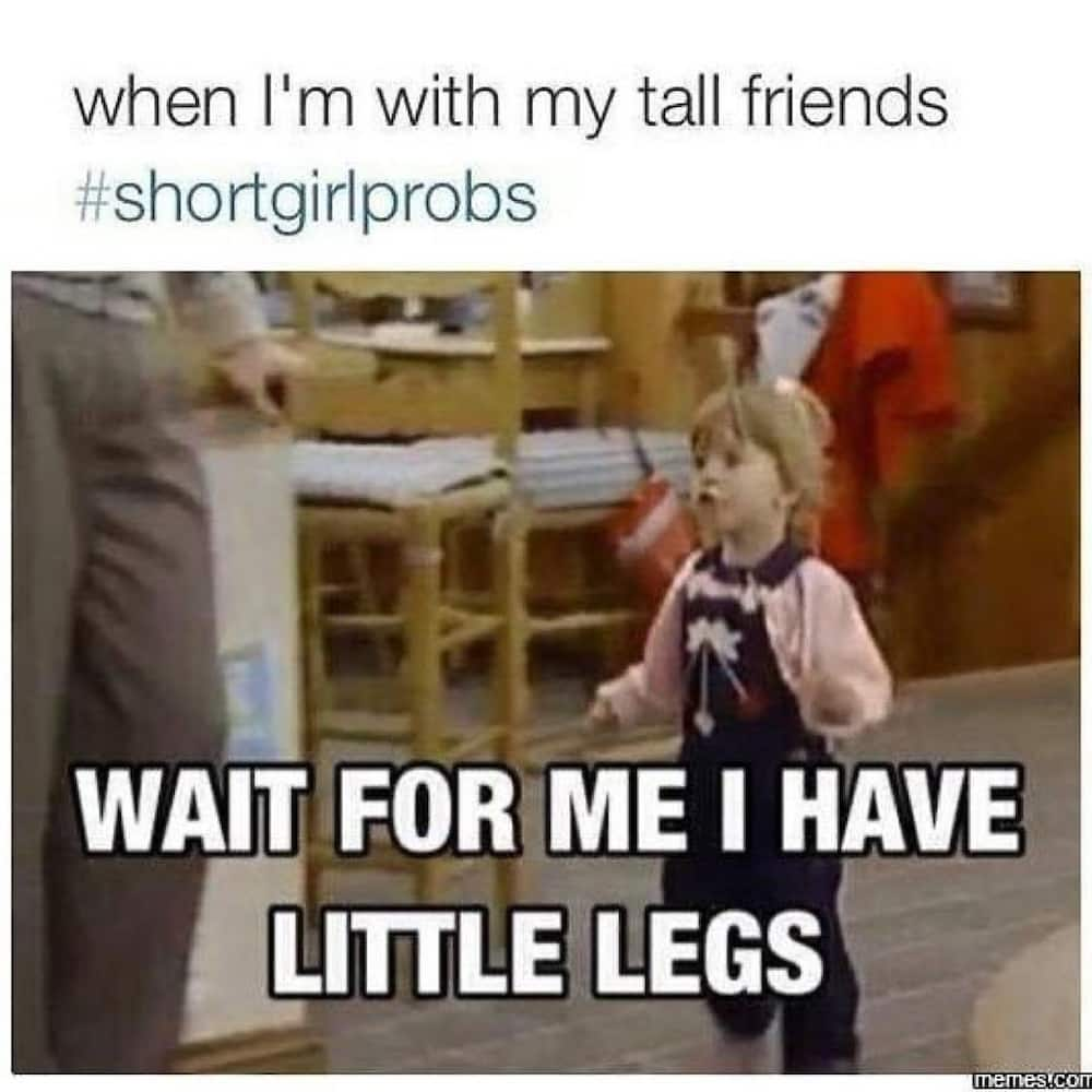 tall and short people funny