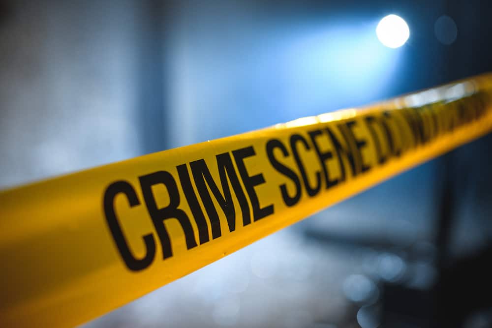 An Alberton home became a crime scene after a gardener killed a woman and her son