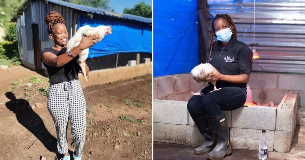 farmer, poultry farming, Ntobeko Mafu, Pietermaritzburg, 21, author, graduate, human resources, GBV, domestic abuse, agriculture