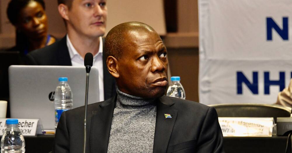 Zweli Mkhize, R3.8M, Cash, Digital Vibes, Director Zweli Mkhize, R3.8M, Cash, Digital Vibes, Director