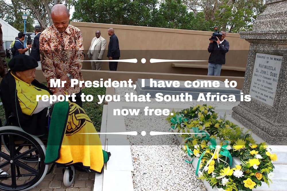 Freedom Day South Africa Freedom Day South Africa