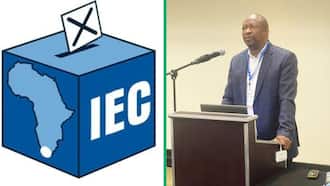 Postponing elections is too expensive according to the IEC