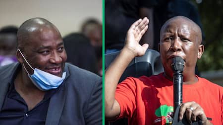 EFF’s Julius Malema accuses the PA’s Gayton McKenzie of attempting to take over the drug trade