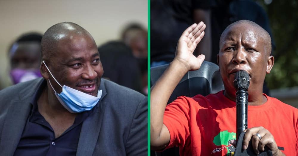 EFF's Julius Malema accused the PA's Gayton McKenzie of wanting to sell drugs in SA