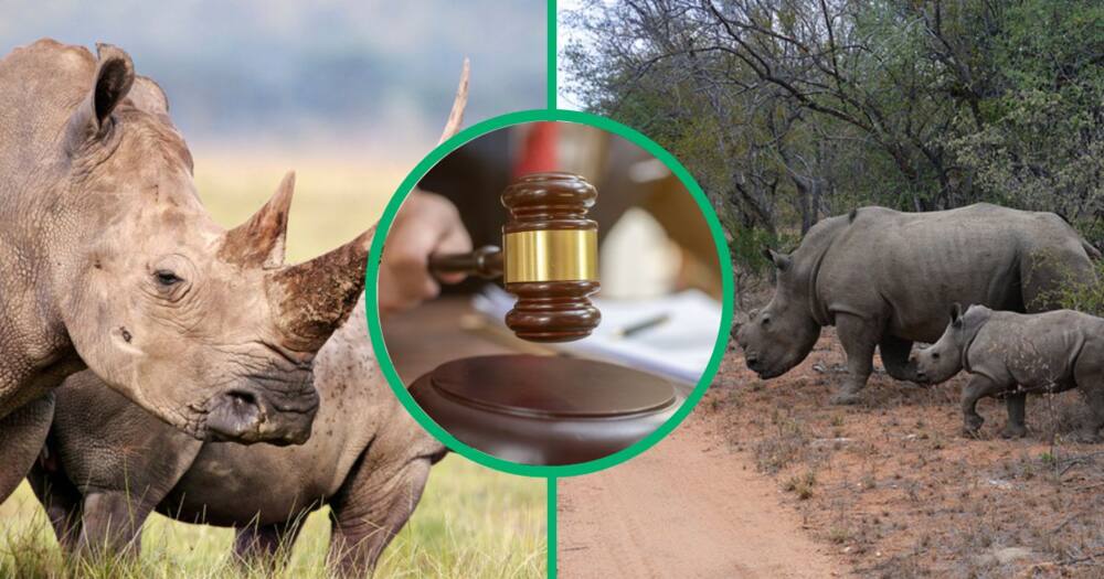 A rhino poacher was handed a 22-year prison sentence