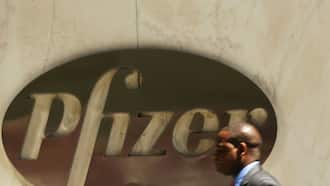 Pfizer in talks on $5 billion acquisition: media