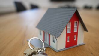 low investment business ideas in south africa low investment business ideas in south africa