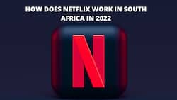How does Netflix work in South Africa 2022: Guide, plans, and prices